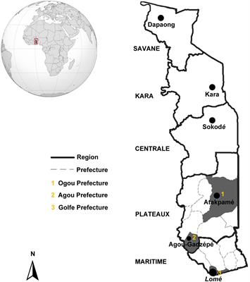 A Molecular Investigation of Malaria Infections From High-Transmission Areas of Southern Togo Reveals Different Species of Plasmodium Parasites